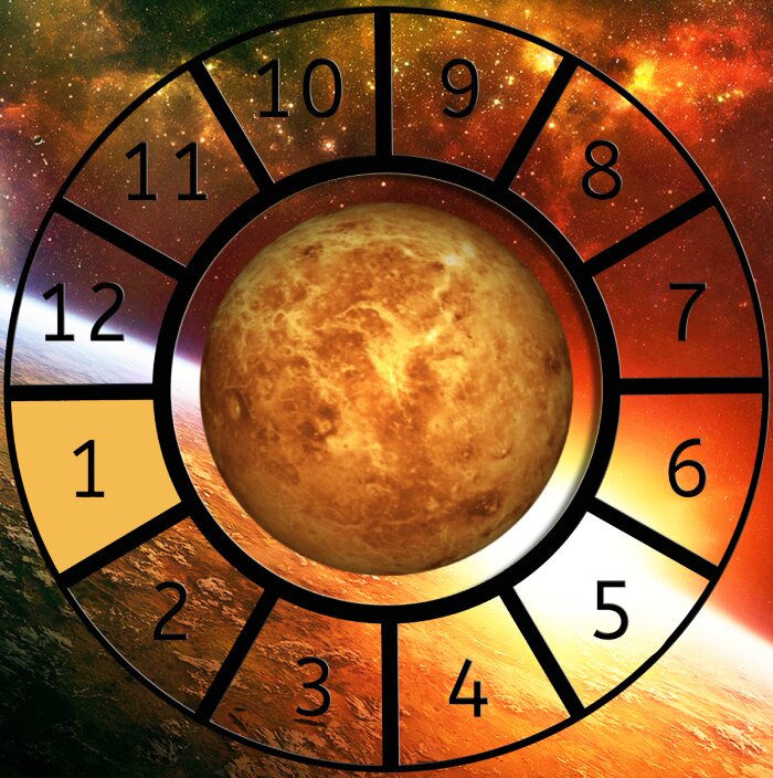 Venus shown within a Astrological House wheel highlighting the 1st House
